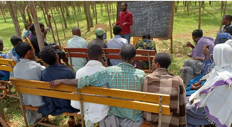 Project participants in North Mecha receiving basic beekeeping training.