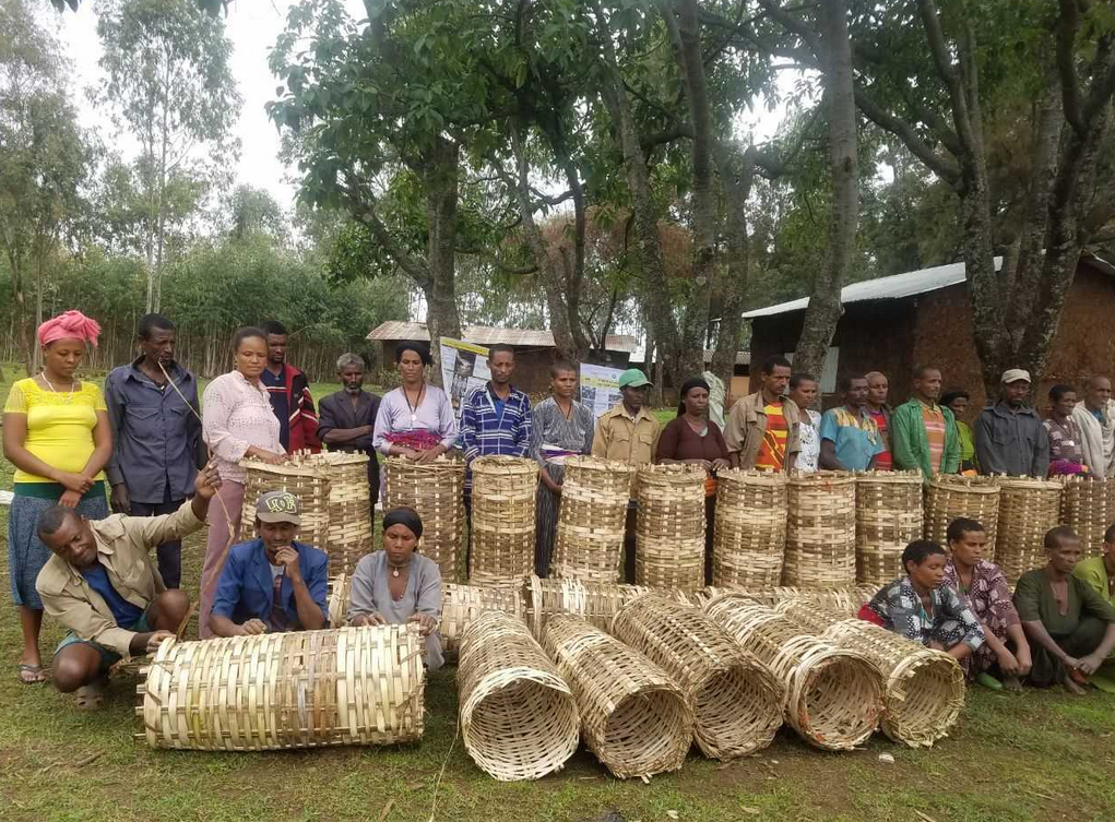 Bees for Development Ethiopia celebrates 10 years: an interview with Director and Founder, Tilahun Gebey