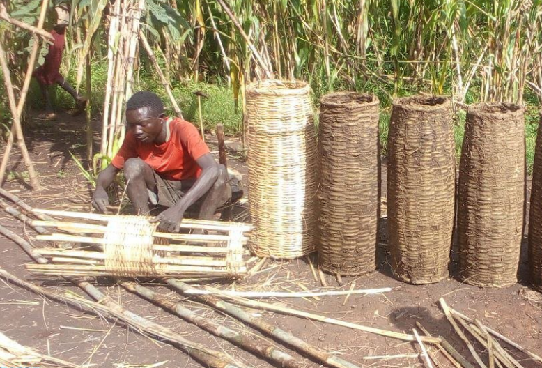 Mass Youth Employment in Apiculture (MaYEA)