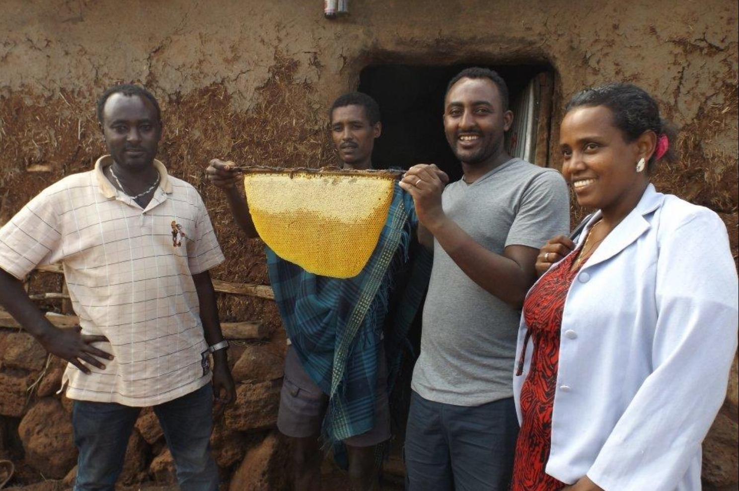 Bee Conservation & Environmental Protection